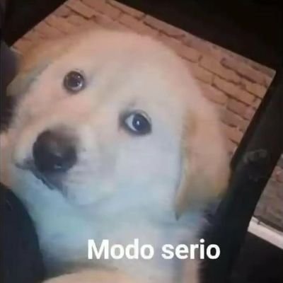 tu que miras?!! fuera, a tu casa