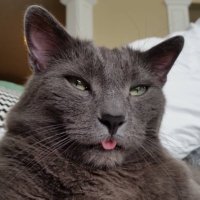 T. Alvord (@travalvord) 's Twitter Profile