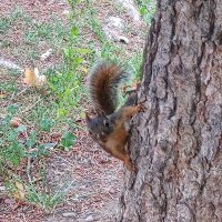 hikerdoc (@hikerdoc1) Twitter profile photo