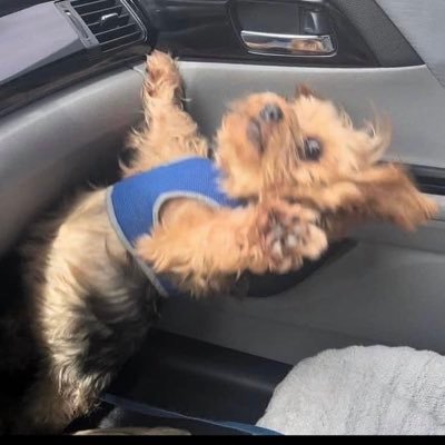 mcurealactors's profile picture. fake page