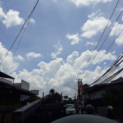 polparelix69420's profile picture. 