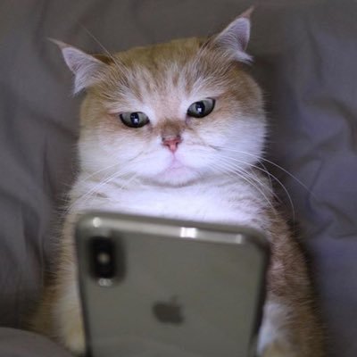 payercuzero's profile picture. ใครๆ ก็ดูออกว่าเปนแอคช้อปปิ้งของนป!!