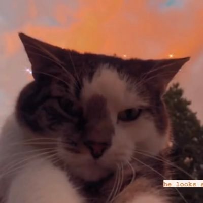 scdelacruzz's profile picture. 