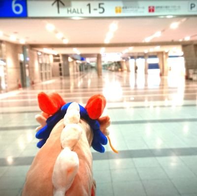 K17UNEさんのプロフィール画像