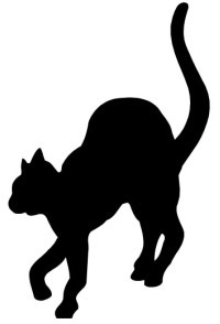 NielsPols's profile picture. Nieuw leven