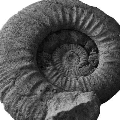 3zui2's profile picture. ホッ