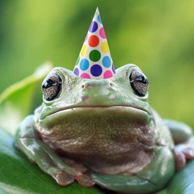 on the internet no-one knows you're a frog... with a (micro)blog 📬 (they/them)