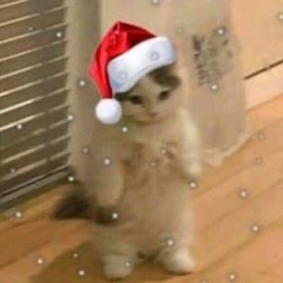 yaaさんのプロフィール画像