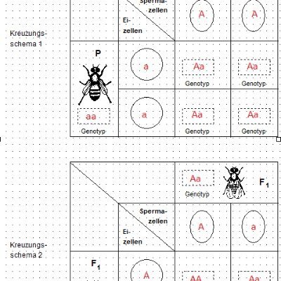 barontaronfan33's profile picture. pipimanb