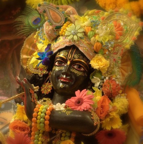 LordKrishnaLovers Profile