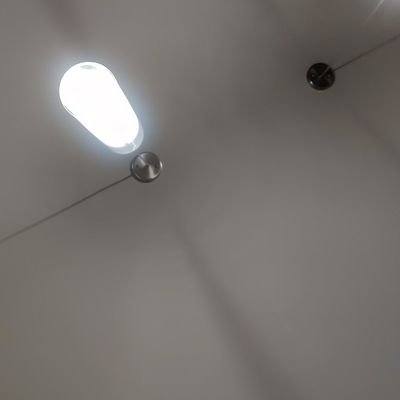 TarekgnKassie's profile picture. SHIB LNU in the moon