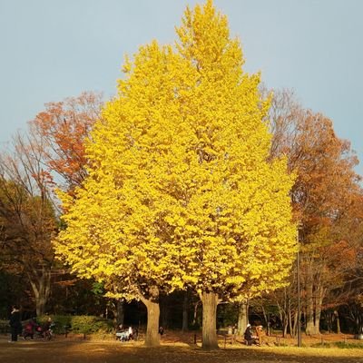 vW7oxfUZgNO6zoD's profile picture. 「おかえり、モネ」きっかけにTwitter。
ドラマ、映画、特撮、読書、子育て、戦国、愚痴、等々色々呟きます☺️
特に『読書』は大切な時間。拙いですが感想も。
20歳と17歳の息子います。
米民です。それから筋トレ始めました。
尚、DMは返信いたしません。