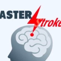 MASTERSTROKE (@masterstroke_nz) 's Twitter Profile
