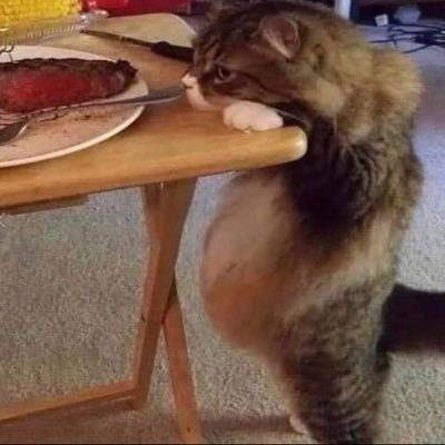 memermeister's profile picture. 