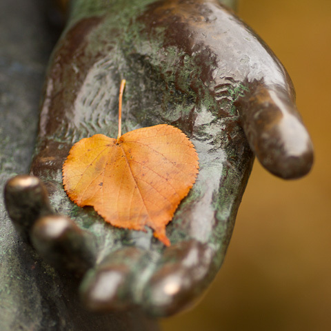 petripusa's profile picture. Travel, Helsinki, photography, photoblogging, IT, football. Author of @signebrander, @helsinkikuvaa and @whatthehelsinki