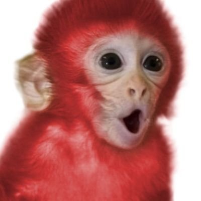 redmonkey6943 Profile Picture