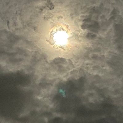 pikari_0624's profile picture. 