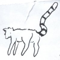 Bd (@bd50178563) 's Twitter Profile