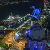 Jim S (@bluebailey55) 's Twitter Profile