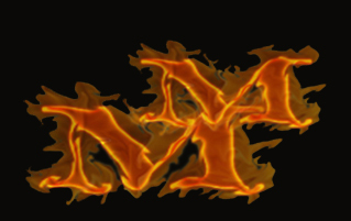 muslimoods's profile picture. 