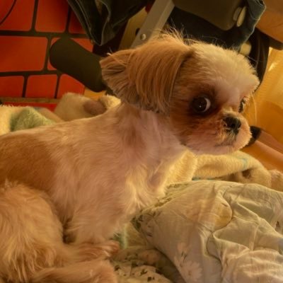 EyrsrEt1gwpTNMk's profile picture. 20 ROM専