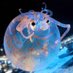 Gingerjo (@gingerjo675) Twitter profile photo Gingerjo (@gingerjo675) Twitter profile photo