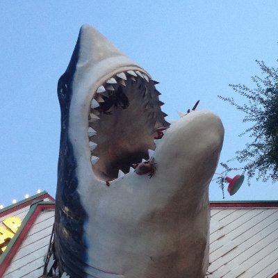 MasonIsMyName's profile picture. Thank you for reading this, please follow me!