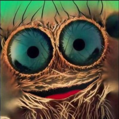 lecarreauduvelo's profile picture. Citoyen du monde