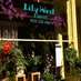 Lily West (@lilywestflorist) Twitter profile photo Lily West (@lilywestflorist) Twitter profile photo