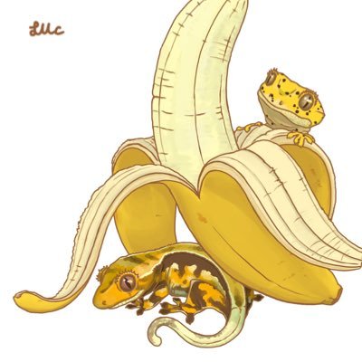 すみれっこさんのプロフィール画像