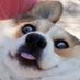 Elgu 🦔 (@elgu__) Twitter profile photo Elgu 🦔 (@elgu__) Twitter profile photo