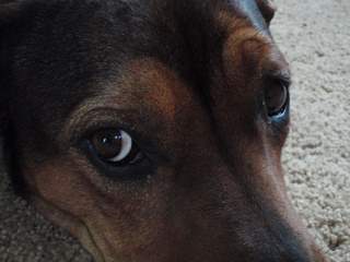 LifesGood19's profile picture. I'm a busy mom, professional, and aspiring writer. As my moniker says- life's good.