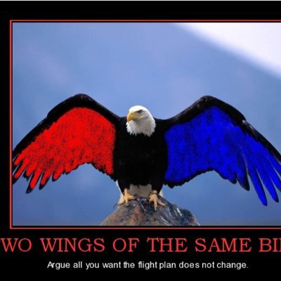 TeaOrTeeTime's profile picture. Culturally mixed by blood, American by heart!