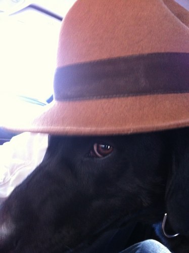 HoratioMortimer's profile picture. views not my own. Also find me at: https://t.co/3KCTFz7dgM