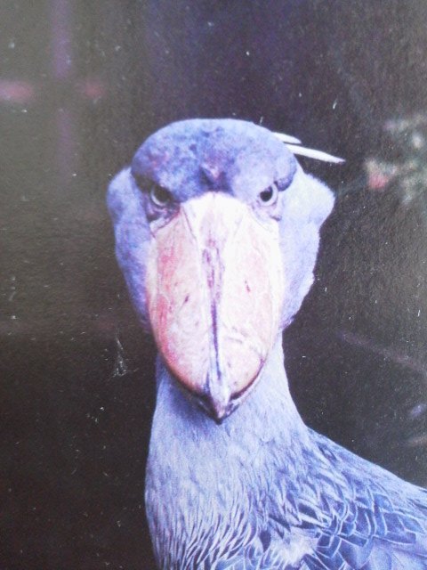 sb2324's profile picture. そろそろ社会人から離脱したい。
定時と残業代は都市伝説。