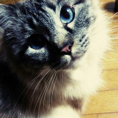 春子さんのプロフィール画像