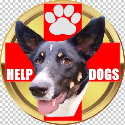 The HelpDogs- Foundation is strongly committed to animal welfare, especially the protection of street dogs worldwide. Donation solution on the blockchain.