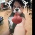 pareja curiosa busca (@alfa359) Twitter profile photo pareja curiosa busca (@alfa359) Twitter profile photo