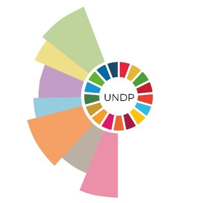 bimun_undp's profile picture. The official account for the United Nations Development Programme committee at the 20th Edition of BIMUN/SINUB.