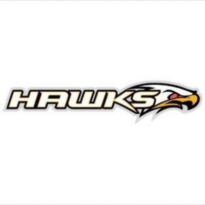 BNS Hawks U13AA