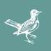 Lark Hotels (@larkhotels) Twitter profile photo Lark Hotels (@larkhotels) Twitter profile photo