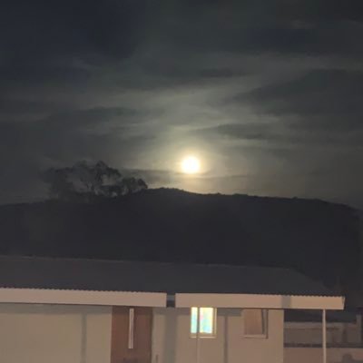 stevovvv's profile picture. Everything CryPto ! Not Financial Advice