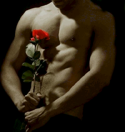 khalil_AlSaleh's profile picture. 