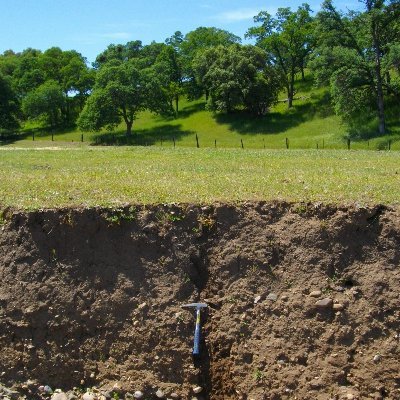 Official twitter account for the Soils and Biogeochemistry Graduate Group @UCDavis in Land, Air, and Water Resources Department. Run by students and faculty.