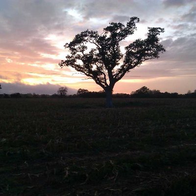 ringmerresident's profile picture. Representing Ringmer residents