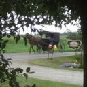 candy jordan - @gizzycan - Twitter