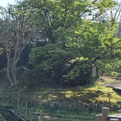 テテさんのプロフィール画像