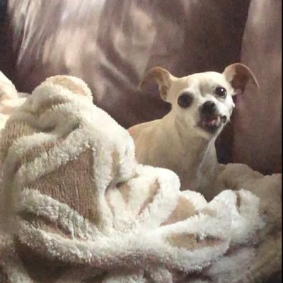 virginiamac3's profile picture. 