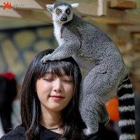 宇宙人 (@heikouuchuu) 's Twitter Profile