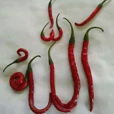 bangadhi78's profile picture. 